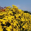 거창사건 추모공원 이미지