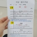 조미진의키크는아이소아청소년과의원 | 조미진의 키크는 아이 소아청소년과의원(제주)_성장클리닉_성조숙증