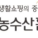금호농수산 | NS 농수산홈쇼핑 인턴 도전 후기