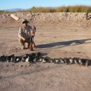 풍년오리 이미지