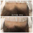 수정헤어 - 천안시 서북구 | 수정헤어