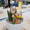 반려식물 다육토분 이미지