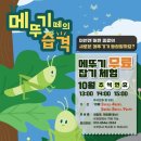 영암곤충박물관 이미지