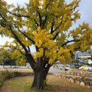 석정온천휴스파 이미지