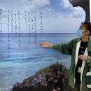 "비전(非戰)의 맹세" 2023 평화의 바다 국제캠프 미야코섬 참가 후기 (2/2) 이미지