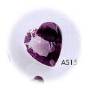 중부-현장-중부-1828 | 상식 이야기9/ 일반상식3/ 산죽 - 히스페니계