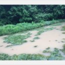 다시농장 이미지