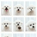 시블링즈 이미지