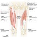 CM Fitness 이미지