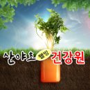 산야초웰빙건강원 - 구리시 검배로60번길 7 | 산야초웰빙건강원