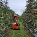 포천사과영농조합법인 이미지