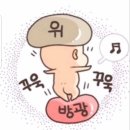 미림세탁소 | [임신일기♡24주] 7개월차 돌입 / 겨울옷 정리 / 인터넷 면세점 아기용품 구매 (밤부베베 손수건&amp;코니...