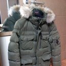 테라노바