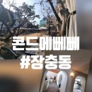 민영주택 | 장충동에서 만난 작은 유럽, '콘드에뻬뻬' 주택 개조 브런치(이탈리안) 레스토랑 방문 후기