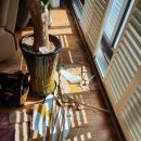 연제구-105 이미지