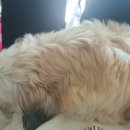 아산탑내과의원 이미지