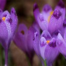 잘되는집 이미지