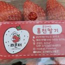 라온터