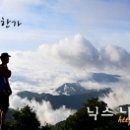 가장맛있는족발(용암점) 이미지