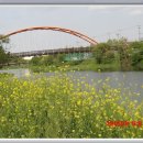 대천천1 이미지