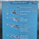 진영로 | 김해 화포천습지과학관 아이들과 방문 후기｜무료 주차와 체험 사전예약 팁