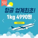 알리바오 네이버블로그
