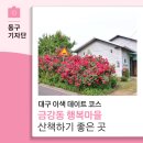 금강행복마을협동조합 | 대구 이색 데이트 코스 금강동 행복마을 산책하기 좋은 곳-13기 백은영 기자