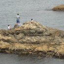 신평공원 이미지