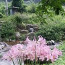 덕현리 마을회관 이미지