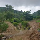 홍천소방서 내면119지역대 | 백두대간 트레일 7-8구간(창촌리길, 새소리길 : 역진)