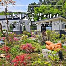 다이노 꽃밭에서 이미지