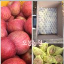 오봉농원 이미지