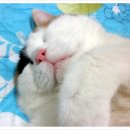 꿈나라 - 성남시 중원구 산성대로 526 | 꿈나라