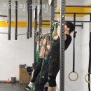 크로스핏 스네일 이미지