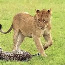 해운숯불갈비 이미지