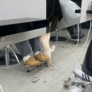 대구병원 뒤편 | [대구 중구 로민헤어] 대구웨딩염색 염색 잘하는 로운 원장님, 톤다운 후기