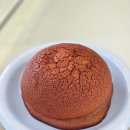 컴포즈커피 팽성점 옆 | 평택 팽성 맛집 | 애견동반 가능한 브런치 맛집 험프리스 펄스 PULSE 내돈내산 후기