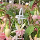 오리역.하나로마트 이미지