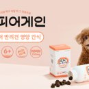 월드와이드