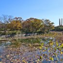 독립기념관 이미지