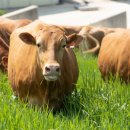 병건농장 이미지