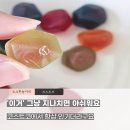 삼겹펀치 | 코스트코 후루츠 거셔스 트로피칼 펀치 왜 인기죠? 직접 먹어본 현실후기