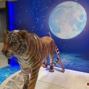 메이트 동물병원 | 라이프오브파이 줄거리해석/박정민 솔직후기(GS아트센터 2층 B블록 5열 2번)+포토존, 캐스팅보드 상세정보