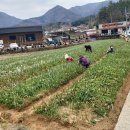 서울인제치과의원 이미지