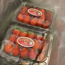 오케이(OK)옥내과의원 | 딸기 맛집, 오늘의 과일 오송점, 독감 후기, 오송 OK 옥 내과 방문, 가장 맛있는 족발 오송점, 공주...