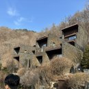 포레스트 리솜 G40 12동 후기!(다음엔 레스트리 가기로 한 이유?)