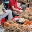 경동오토바이 이미지