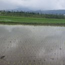 고모농장 이미지