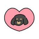 초이다방 이미지