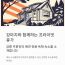 컴페니언 펫 | 강릉 주문진 감성숙소, 반려견과 프라이빗하게 머물기 좋은 곳 컴페니언바이주문진